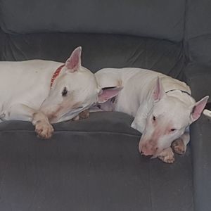 Meet your Posher, Matt